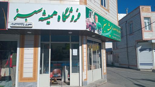 عکس فروشگاه همیشه سبز