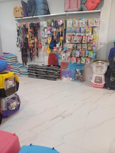 کلینیک دامپزشکی نیلا