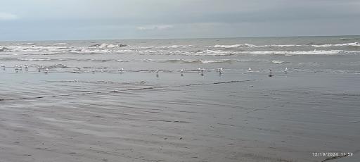 عکس ساحل امیر سرا