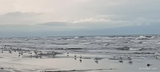 عکس ساحل امیر سرا