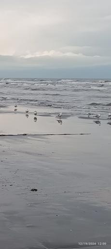 عکس ساحل امیر سرا