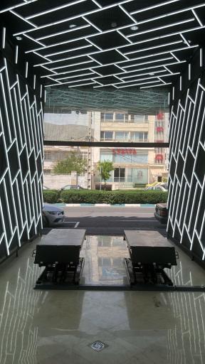 عکس تشخیص رنگ و فنی خودرو برهمند