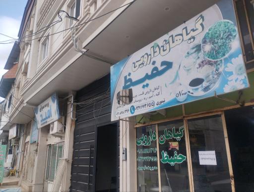 عکس گیاهان داروئی حفیظ