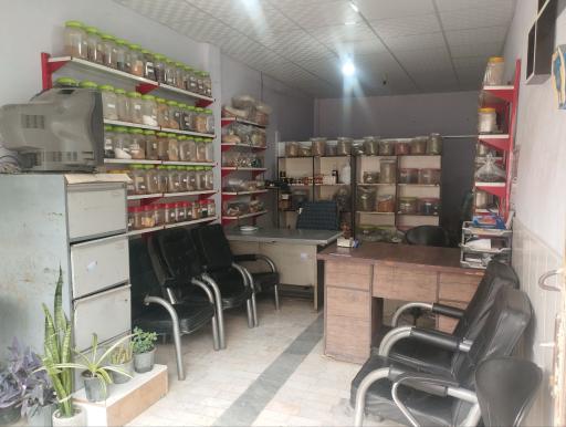 عکس گیاهان داروئی حفیظ