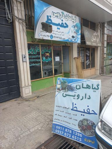 عکس گیاهان داروئی حفیظ