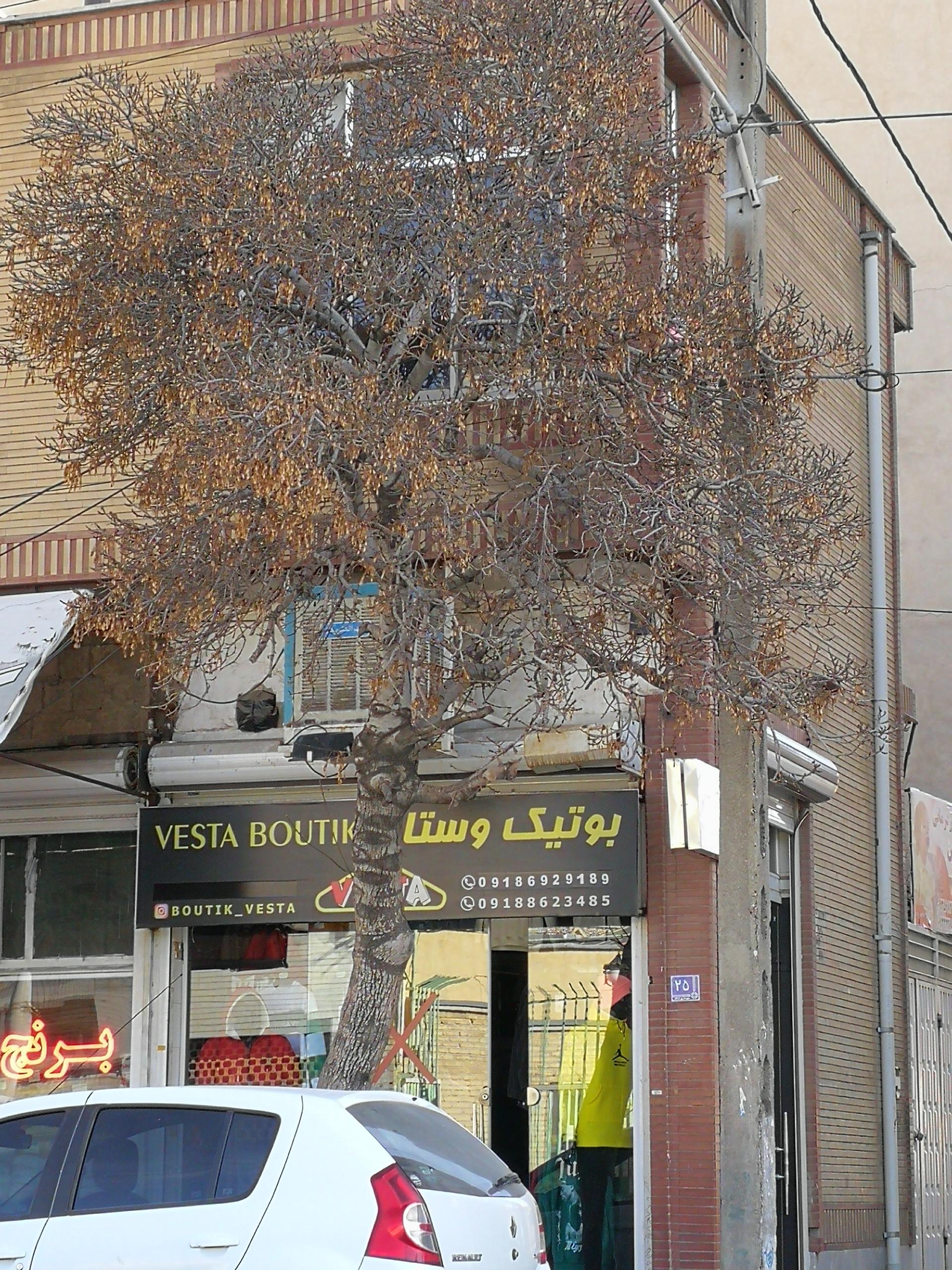 عکس بوتیک وستا