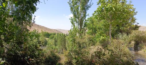 عکس چشمه سراب روستای نران