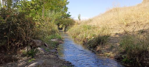 عکس چشمه سراب روستای نران
