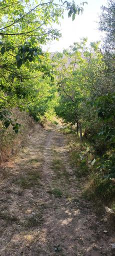 عکس چشمه سراب روستای نران
