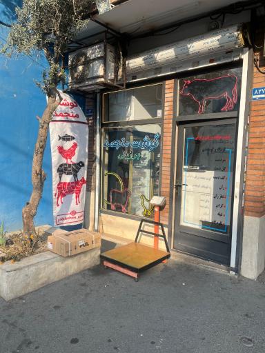 عکس پخش گوشت منجمد برادران کاشی 