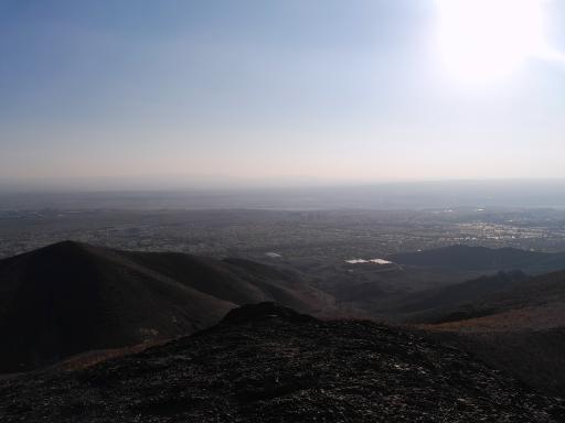 عکس بام پرند