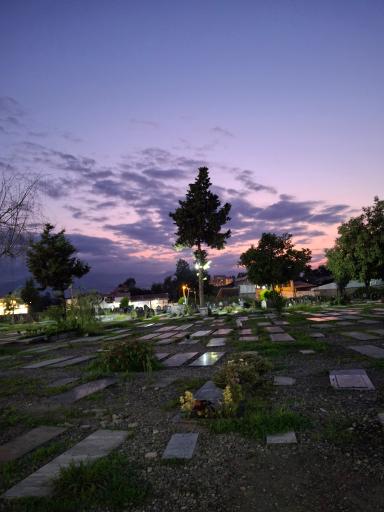 عکس گلزار شهدای فومن