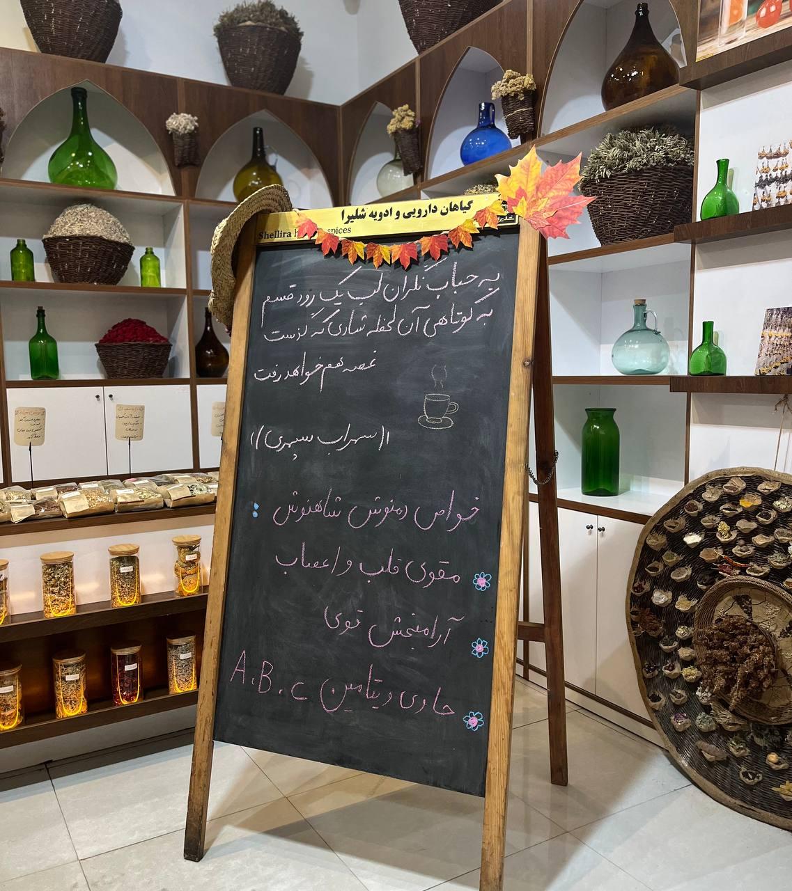 عکس شلیرا اکو مال