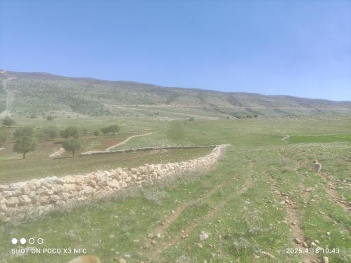 عکس تفرجگاه قلاجه