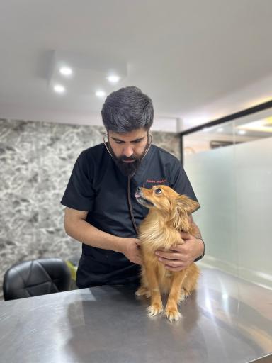 عکس کلینیک دامپزشکی جزیره حیوانات