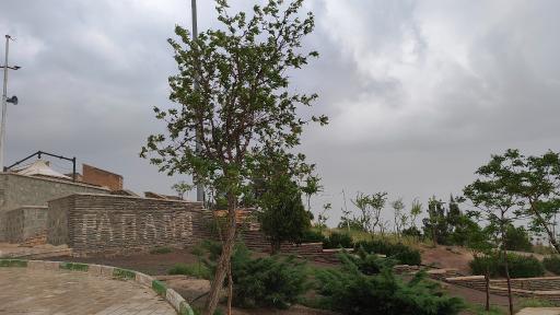 عکس بام پرند