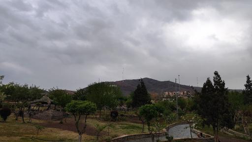 عکس بام پرند