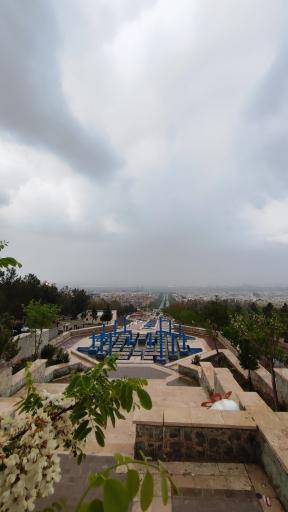عکس بام پرند