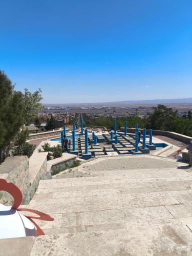 عکس بام پرند