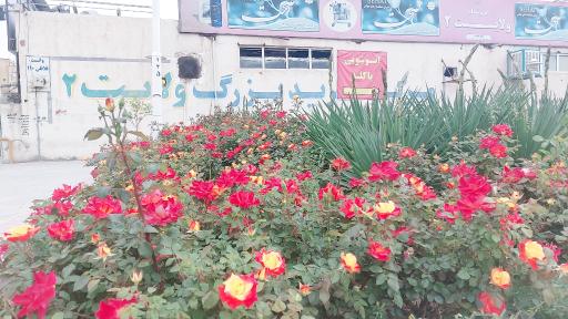 عکس مرکز خرید بزرگ ولایت 2