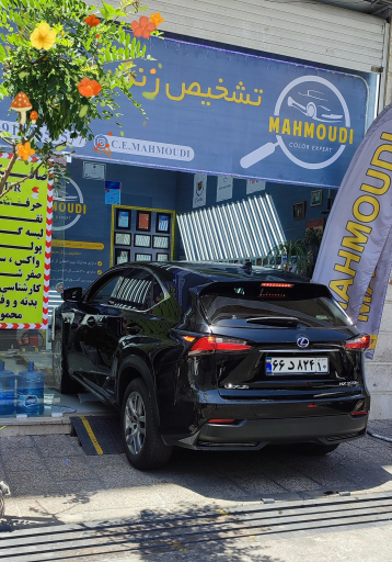 عکس کارشناسی خودرو محمودی