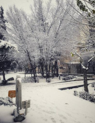 عکس پارک بوستان