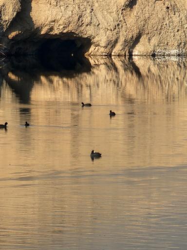 عکس دریاچه مصنوعی فشافویه