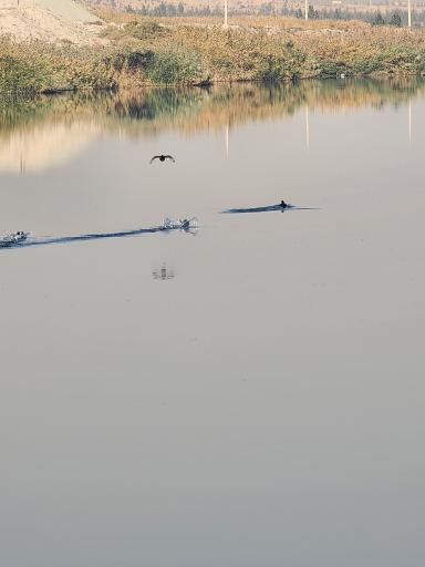 عکس دریاچه مصنوعی فشافویه