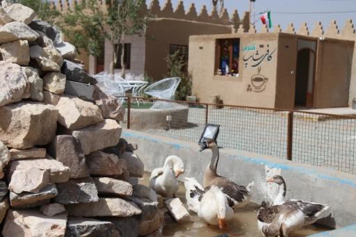 عکس باشگاه سوارکاری ققنوس