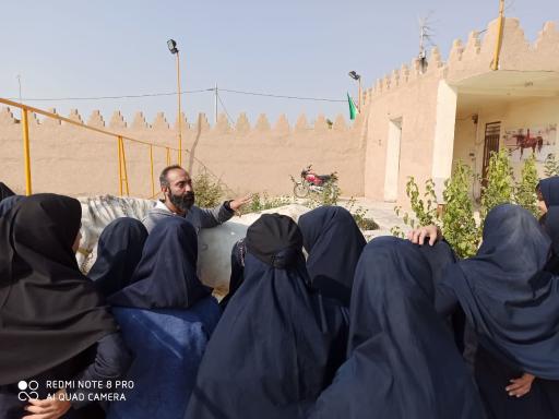 عکس باشگاه سوارکاری ققنوس