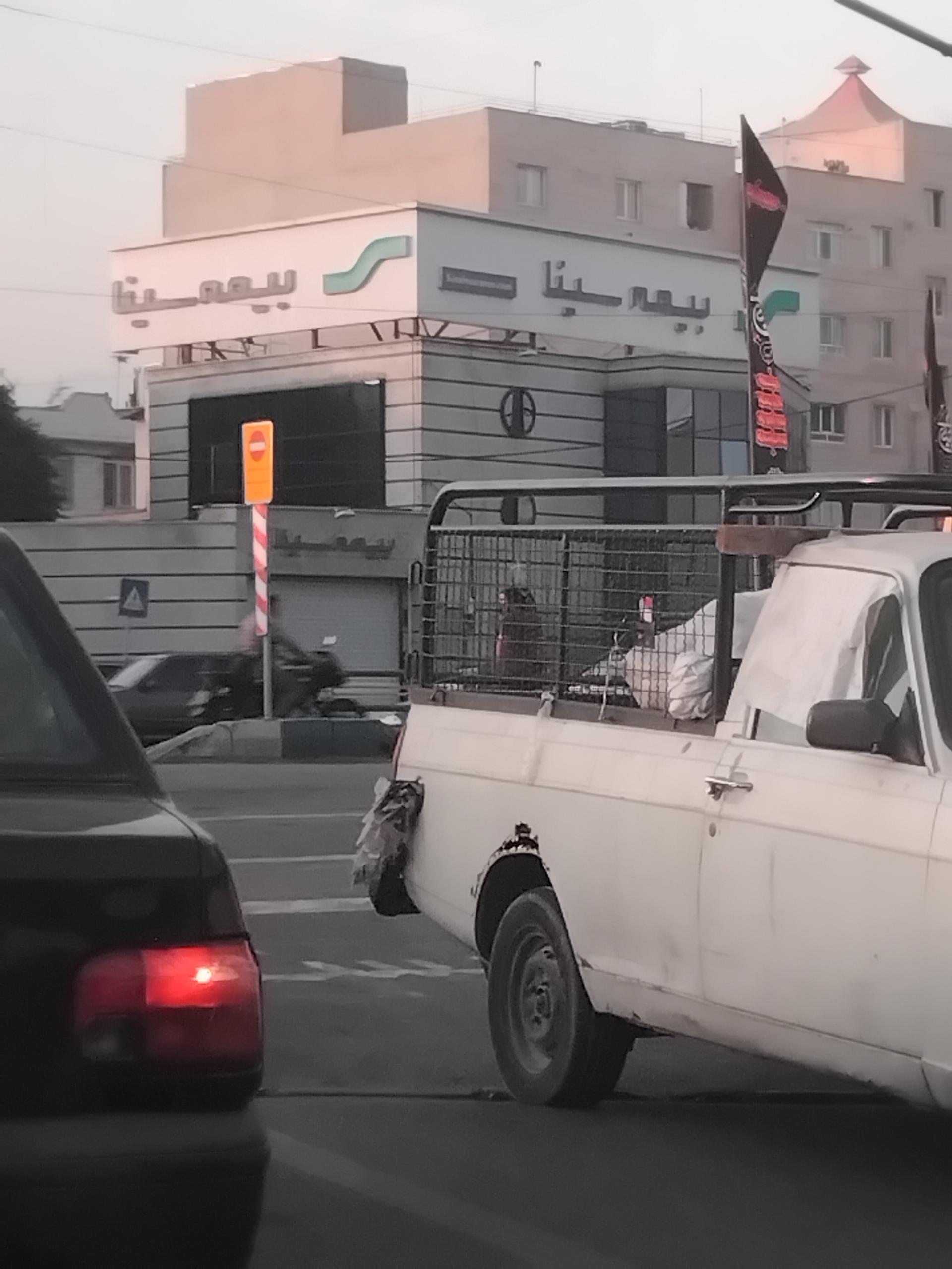 عکس بیمه سینا شعبه وحیدیه