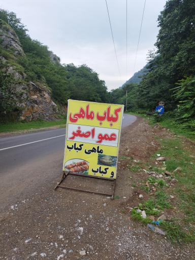 عکس کباب ماهی عمو اصغر