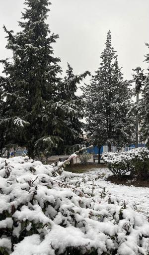 عکس پارک بوستان