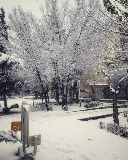 عکس پارک بوستان