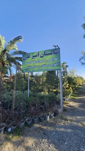 عکس نهالستان امیرعلی