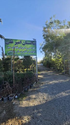 عکس نهالستان امیرعلی