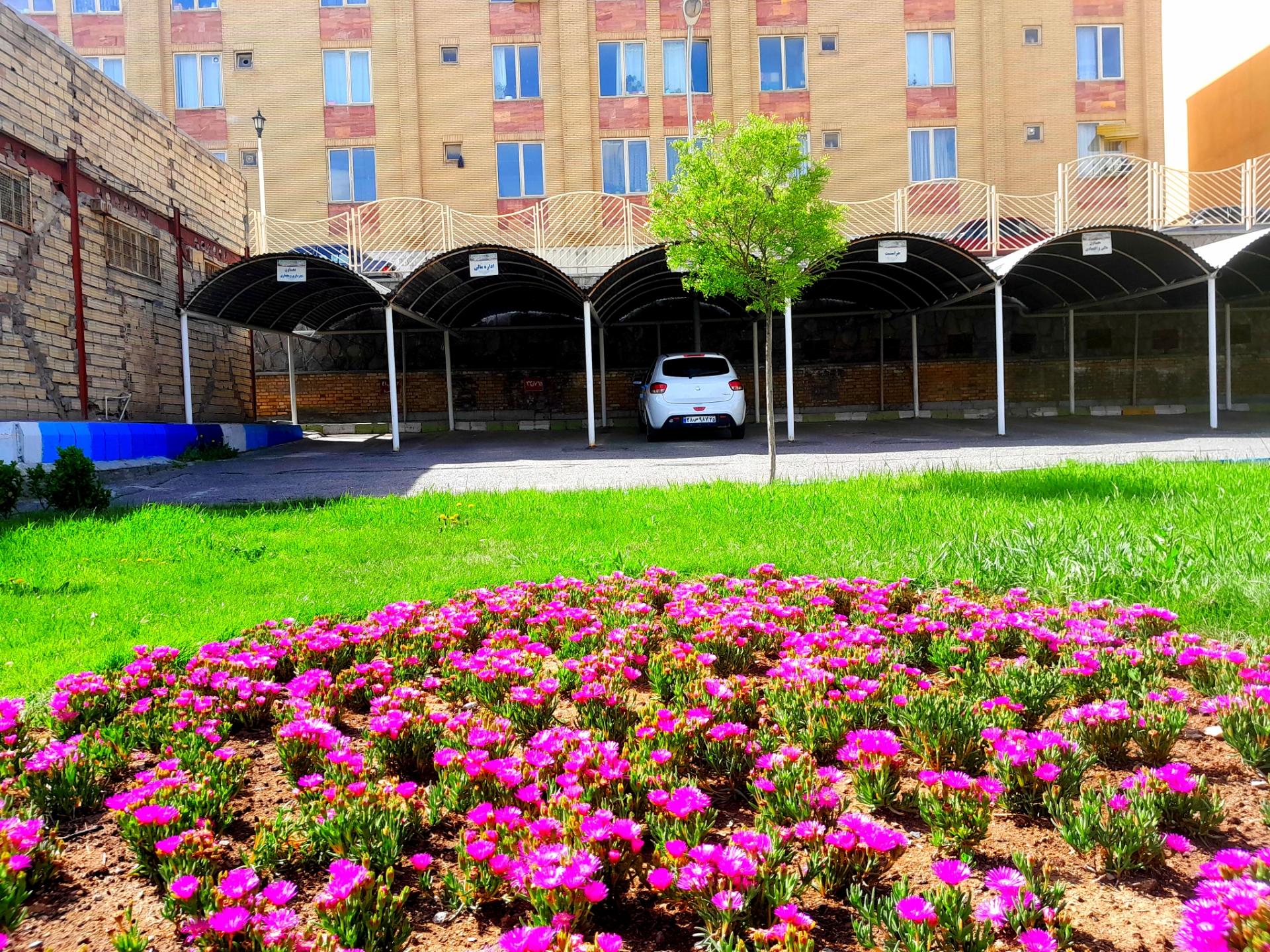 عکس پارگینگ