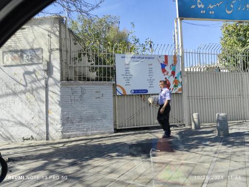 عکس مجموعه ورزشی و فرهنگی شهید یگانه