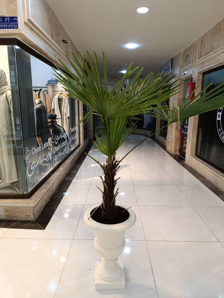 عکس هایپر پرده قائمشهر