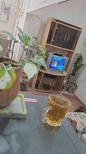 عکس محفل بزرگمهر