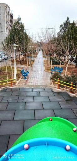 عکس بوستان زیتون