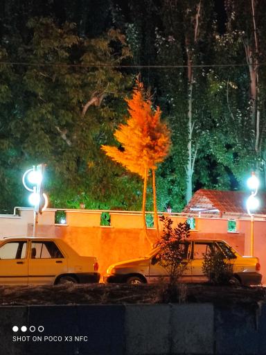 عکس رستوران چشمه باغ