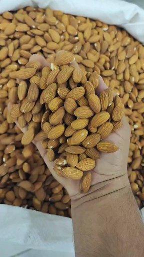 عکس گردو خشکبار نجمی