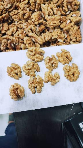 عکس گردو خشکبار نجمی