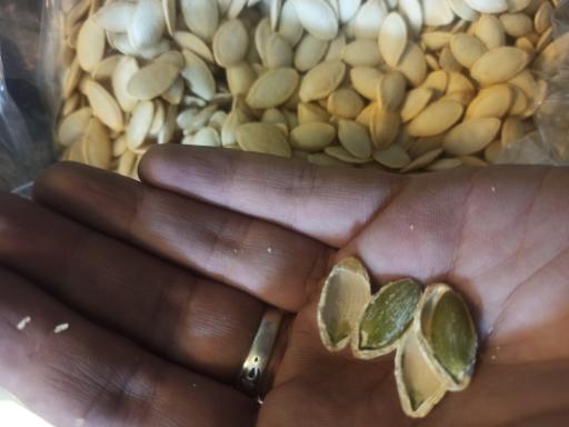 عکس گردو خشکبار نجمی