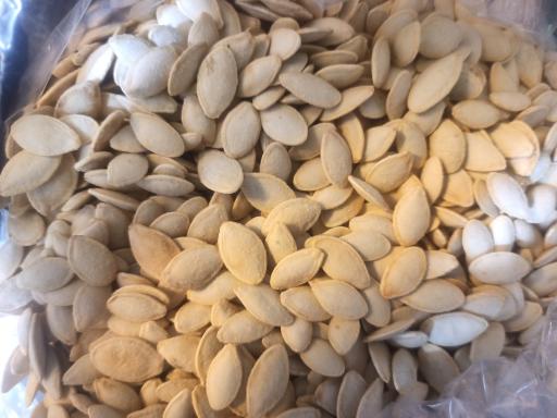 عکس گردو خشکبار نجمی