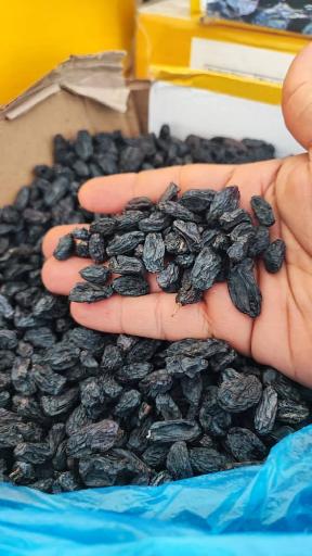 عکس گردو خشکبار نجمی