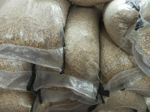 عکس گردو خشکبار نجمی