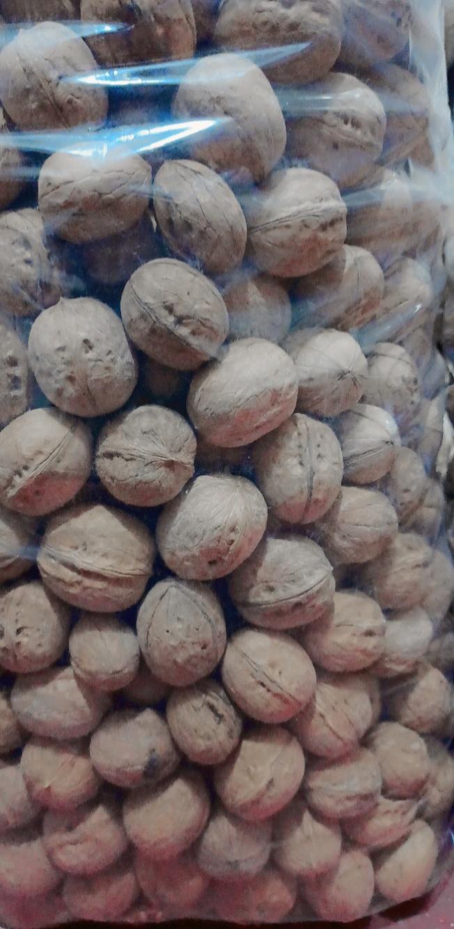 عکس گردو خشکبار نجمی