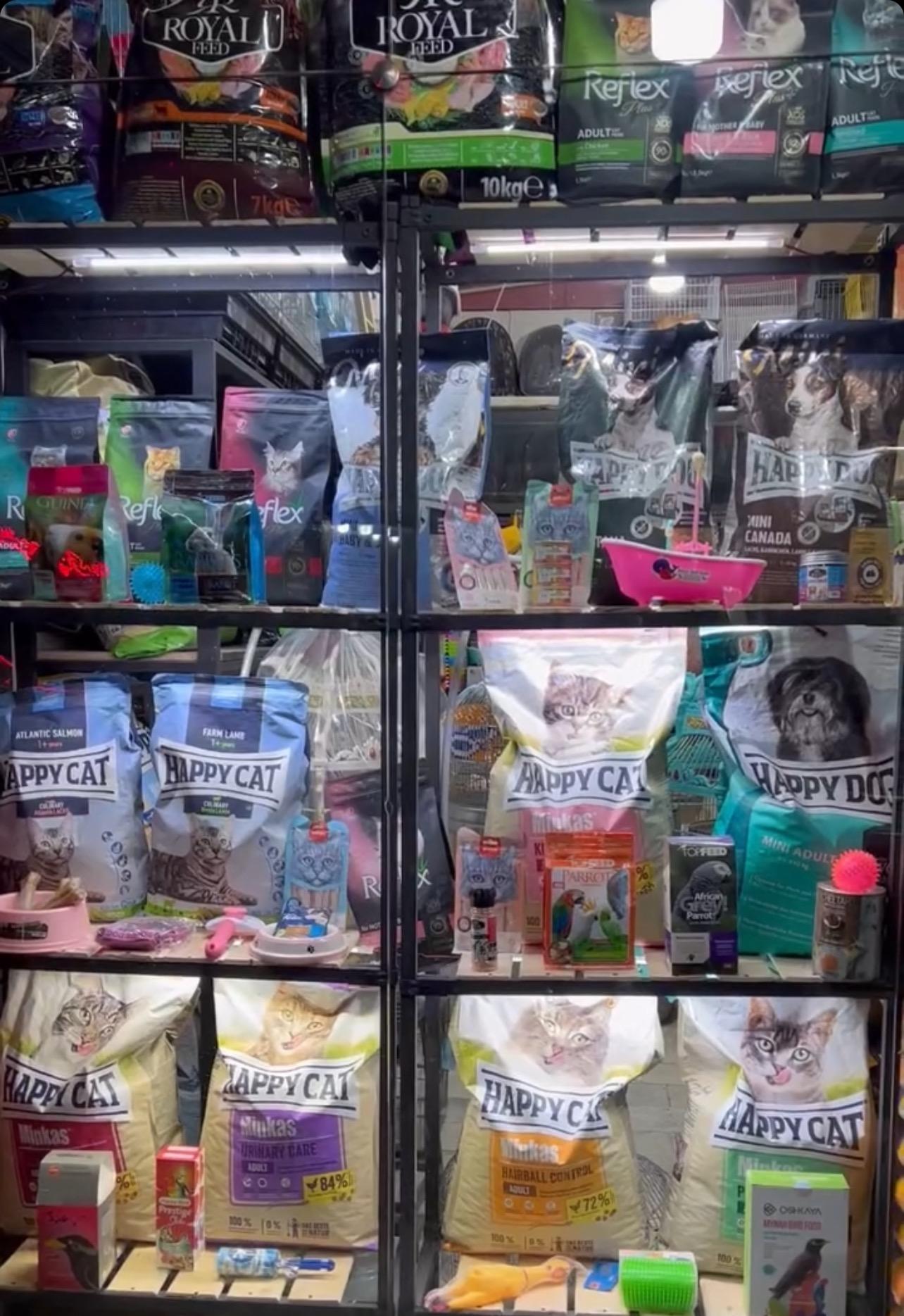 عکس پتشاپ دنیز